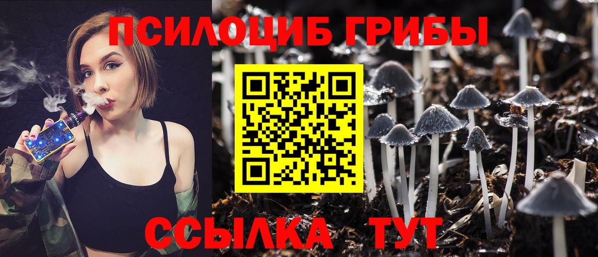 Псилоцибиновые грибы мухоморы Кыштым